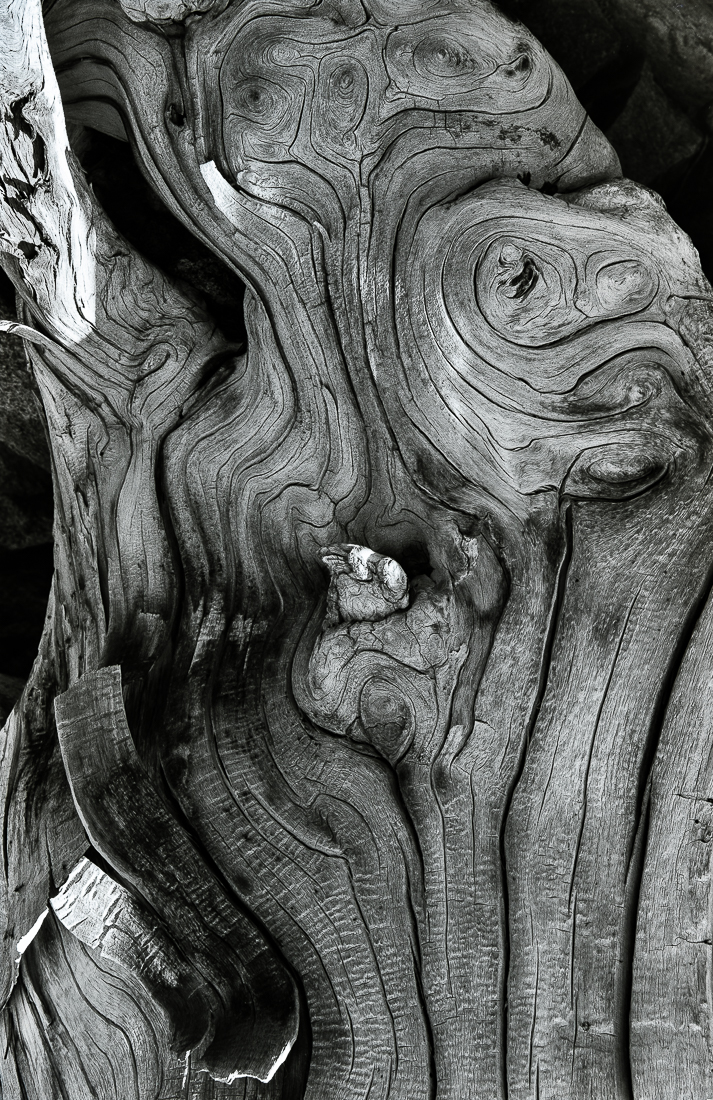 Beauty in Chaos (Series I)