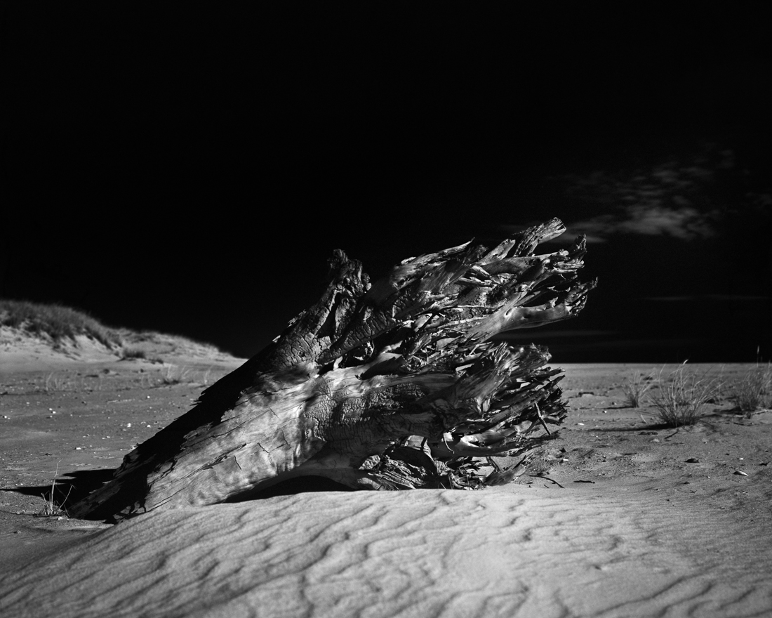 Skeletons in the Wind