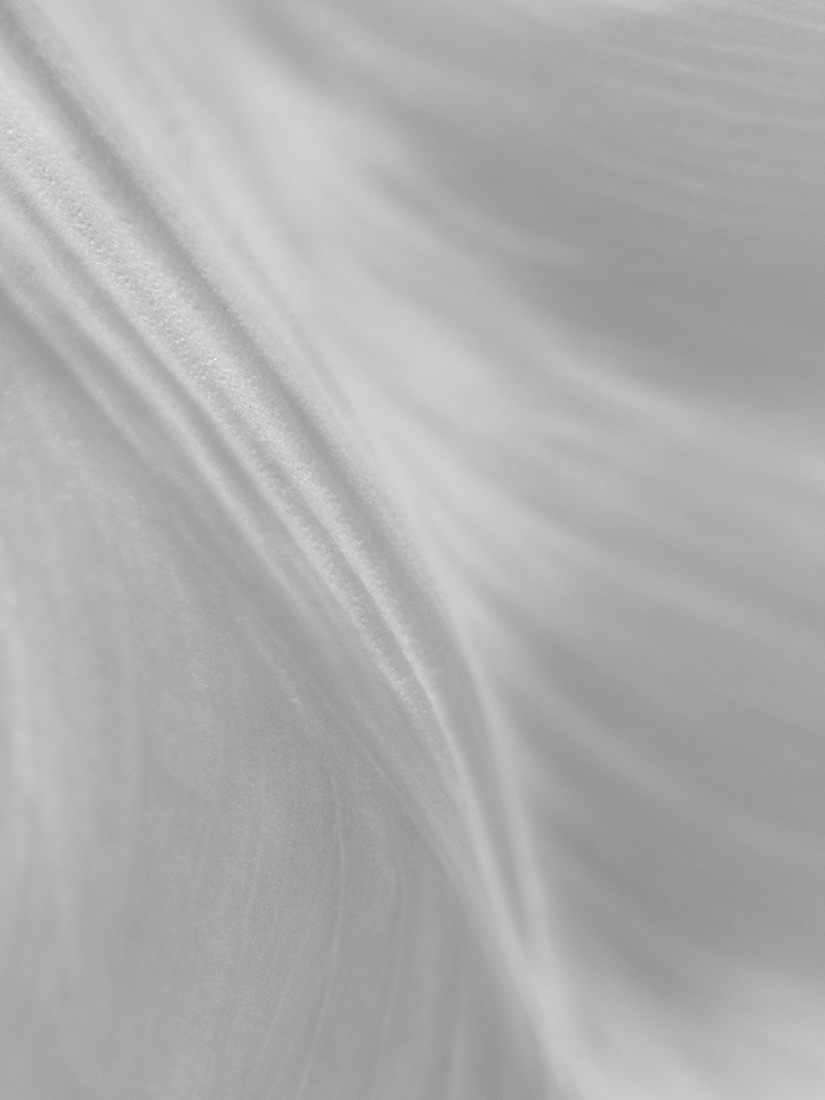 Anatomy of softness