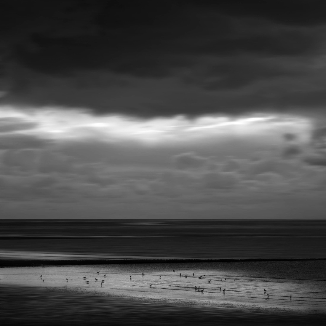 Between Light and Shadow