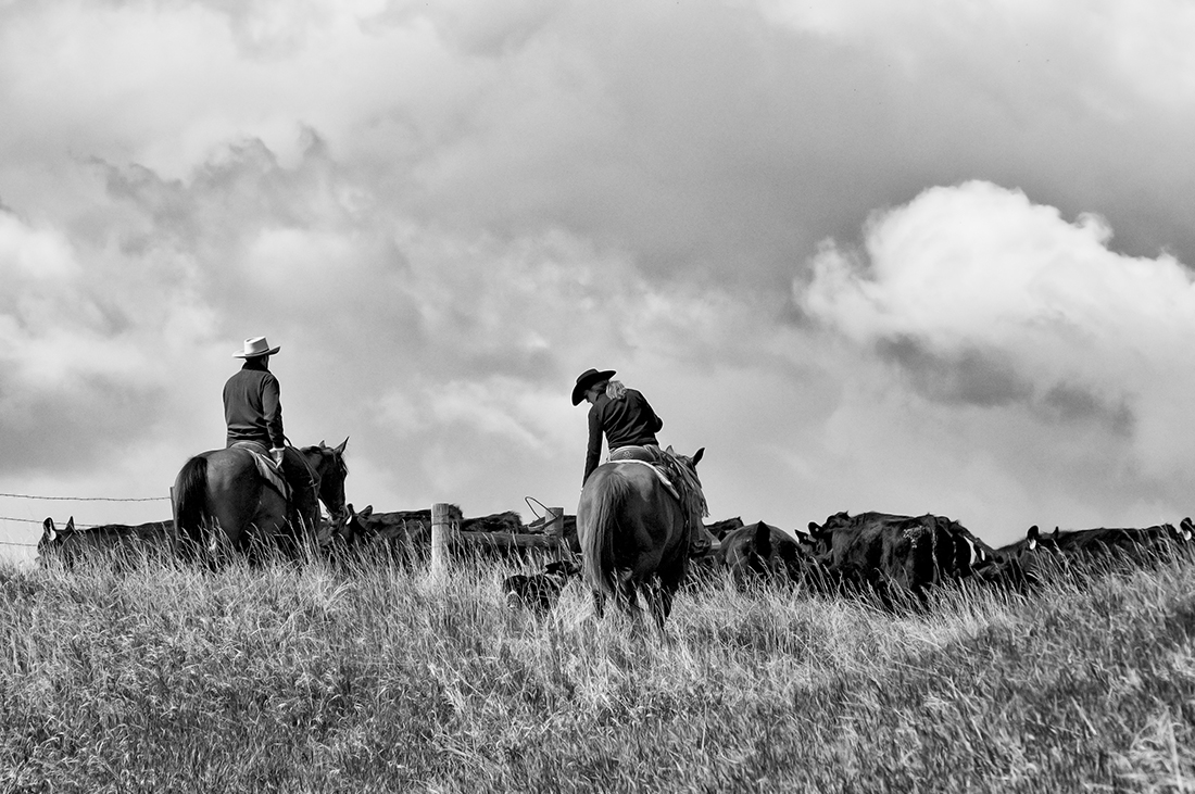 Wyoming and Montana Cowgirls