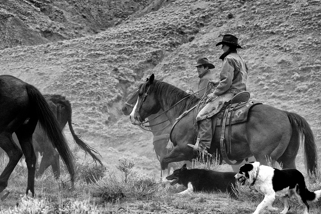 Wyoming and Montana Cowgirls