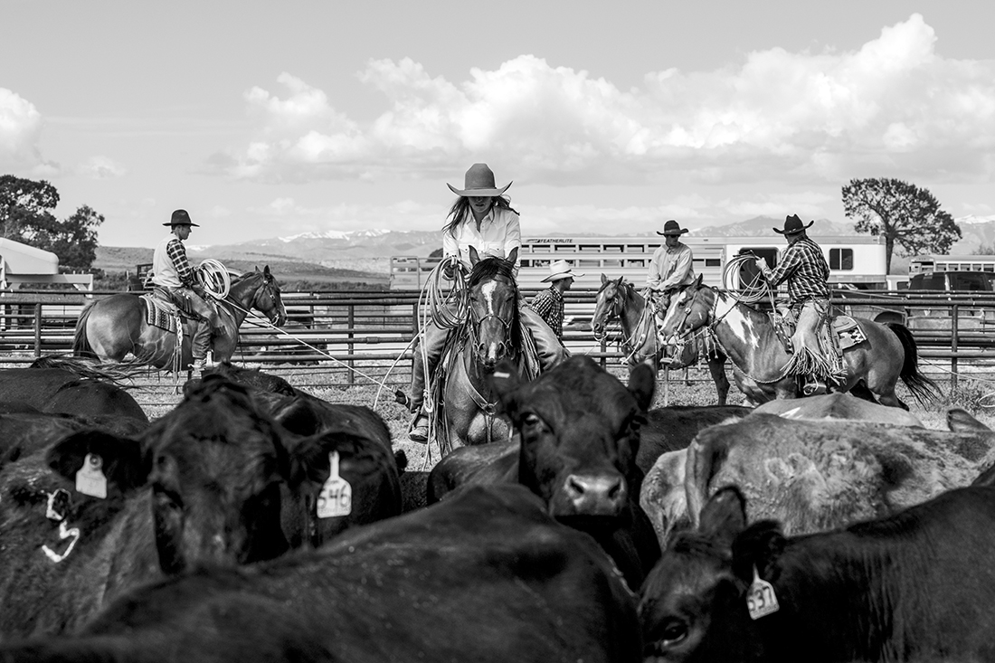 Wyoming and Montana Cowgirls