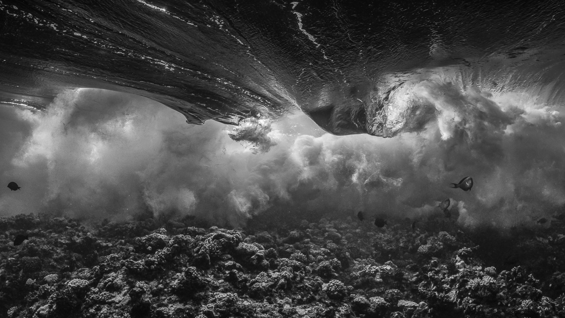 MonoVisions Photography Awards - International Black and White Photo ...