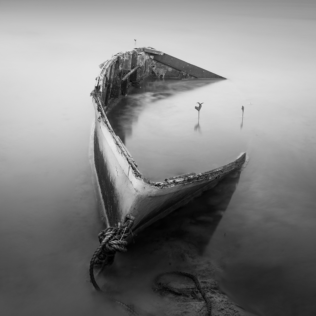 MonoVisions Photography Awards - International Black And White Photo ...