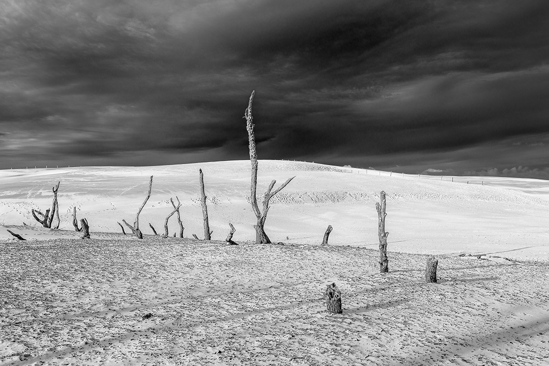 Moving Dunes
