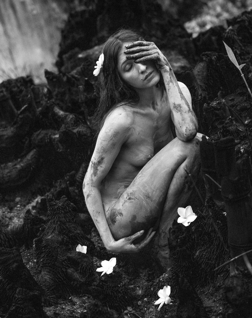 Beauty Always Prevails Over Evil