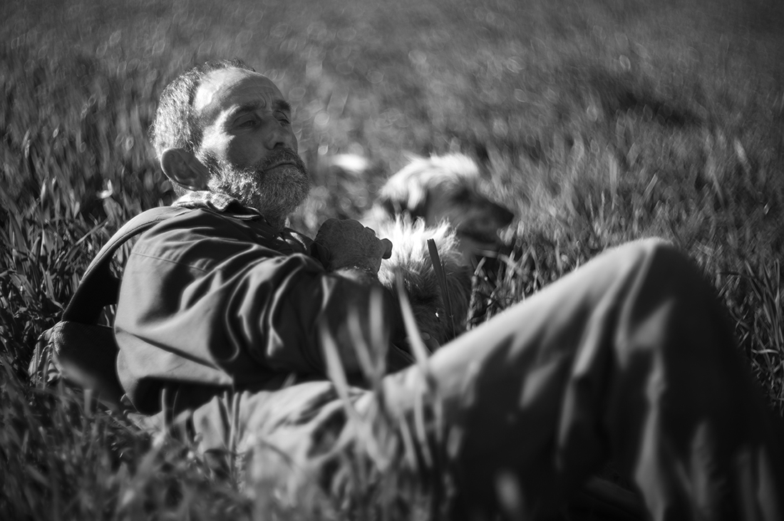 The last Shepherds.