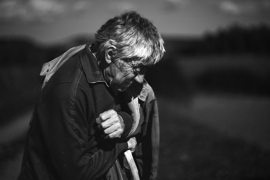 The last Shepherds.