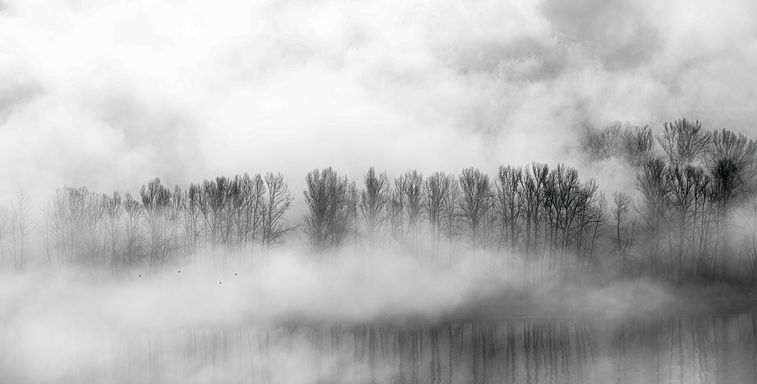 MORNING FOG