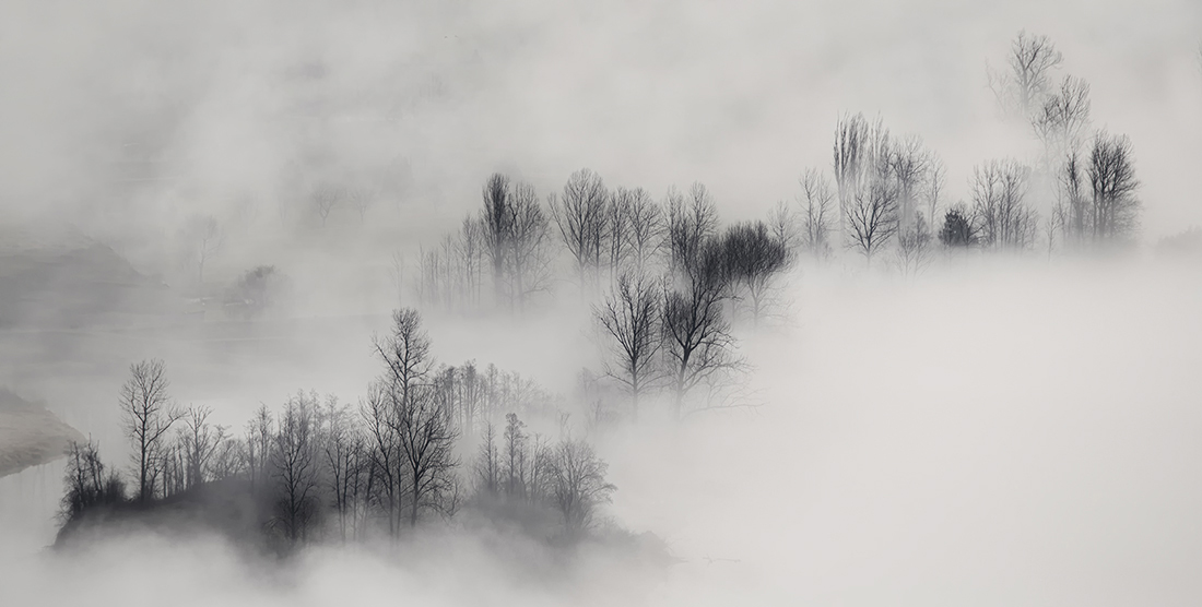 MORNING FOG