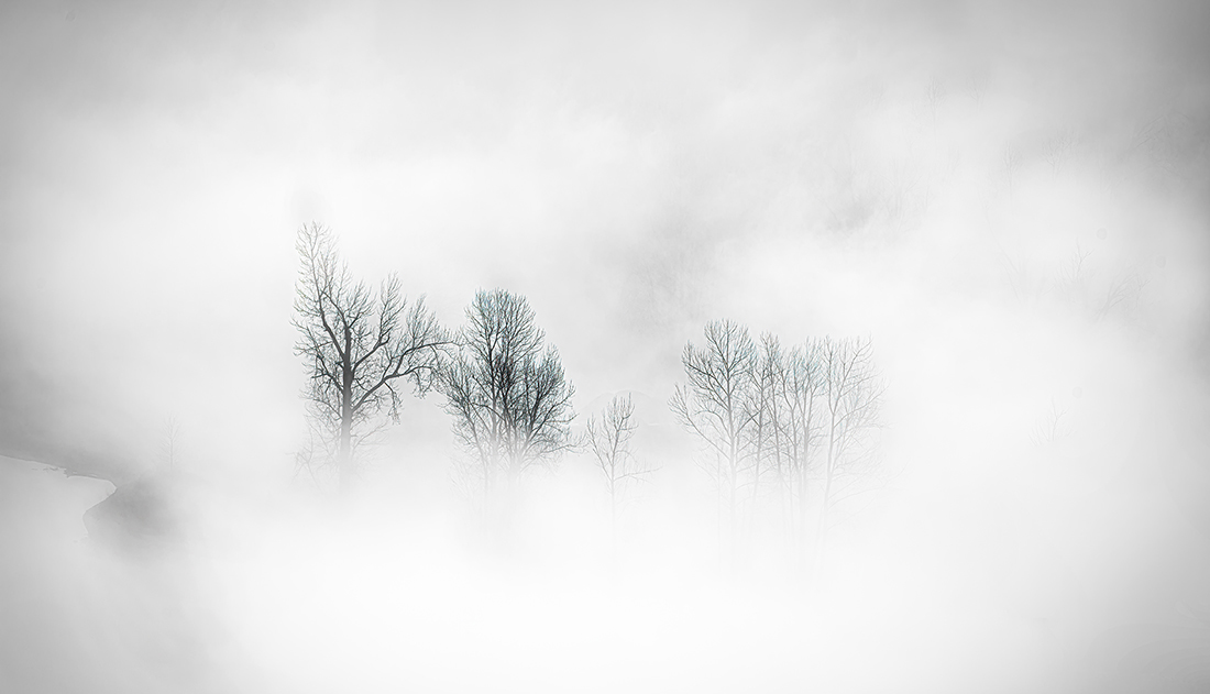 MORNING FOG
