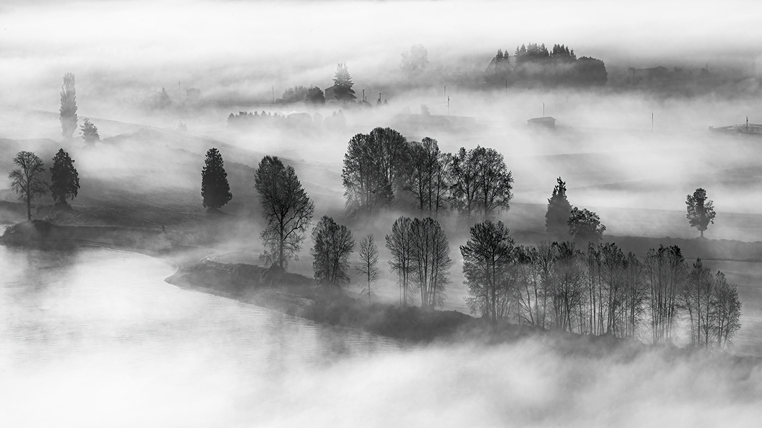 MORNING FOG