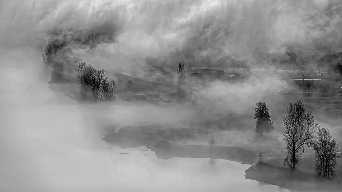 MORNING FOG
