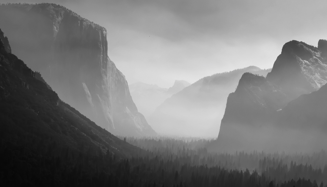 Smog art by forest fires