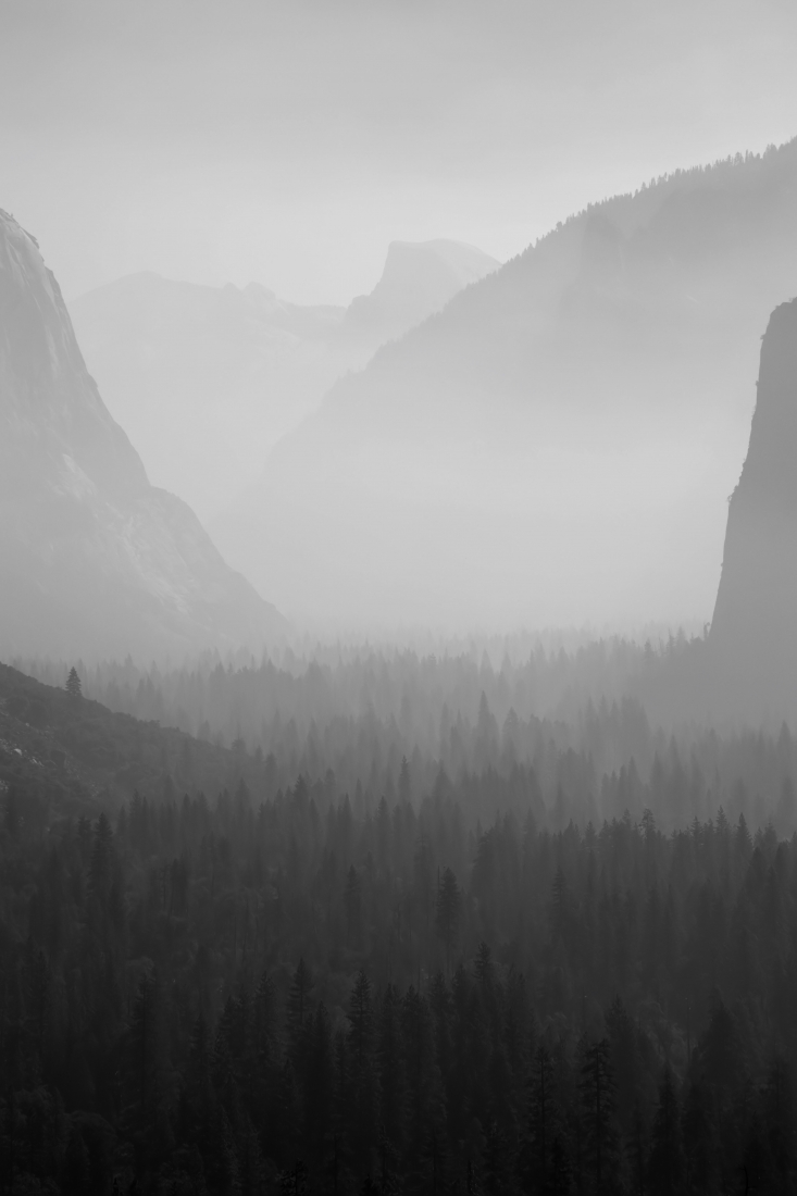 Smog art by forest fires