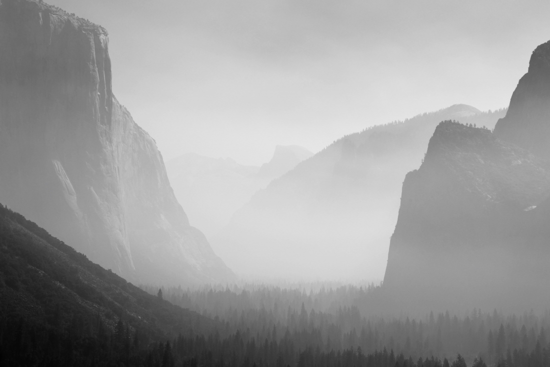 Smog art by forest fires