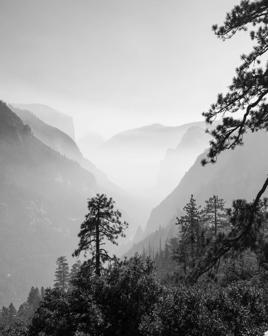 Smog art by forest fires