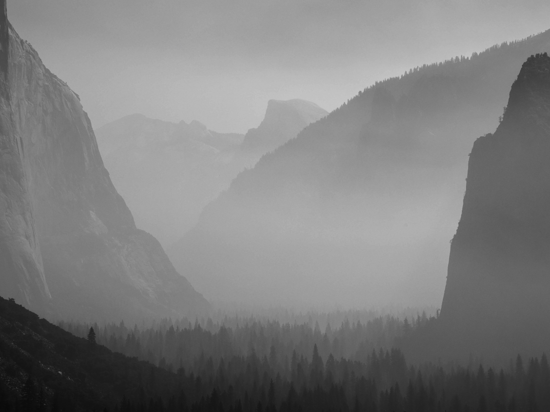 Smog art by forest fires