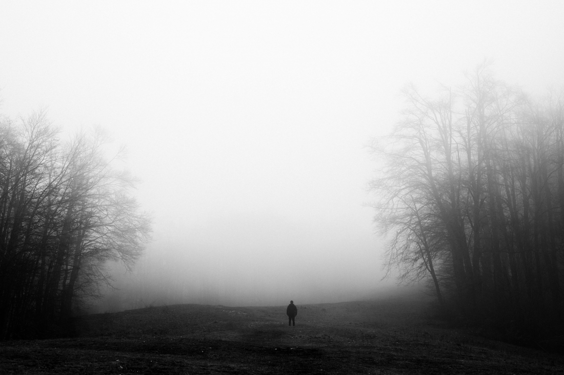 We move in stillness