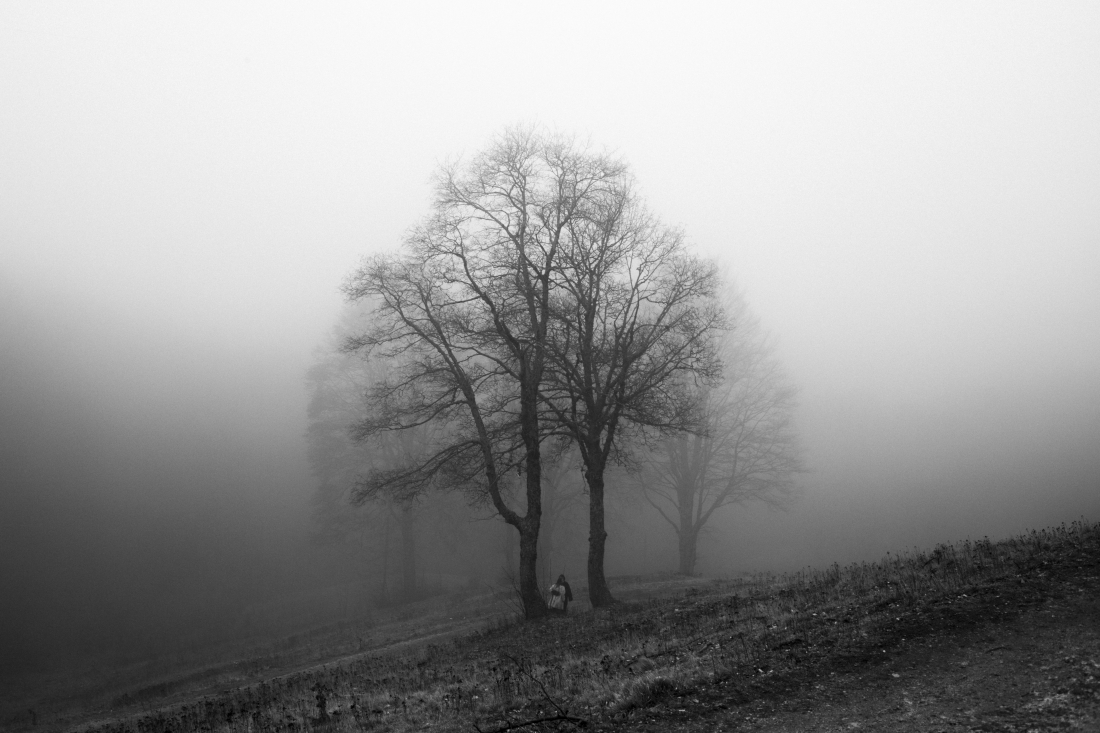 We move in stillness