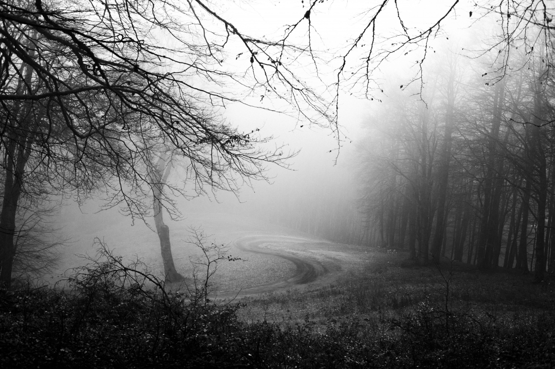 We move in stillness