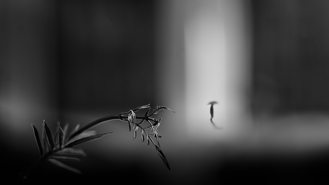 El umbral