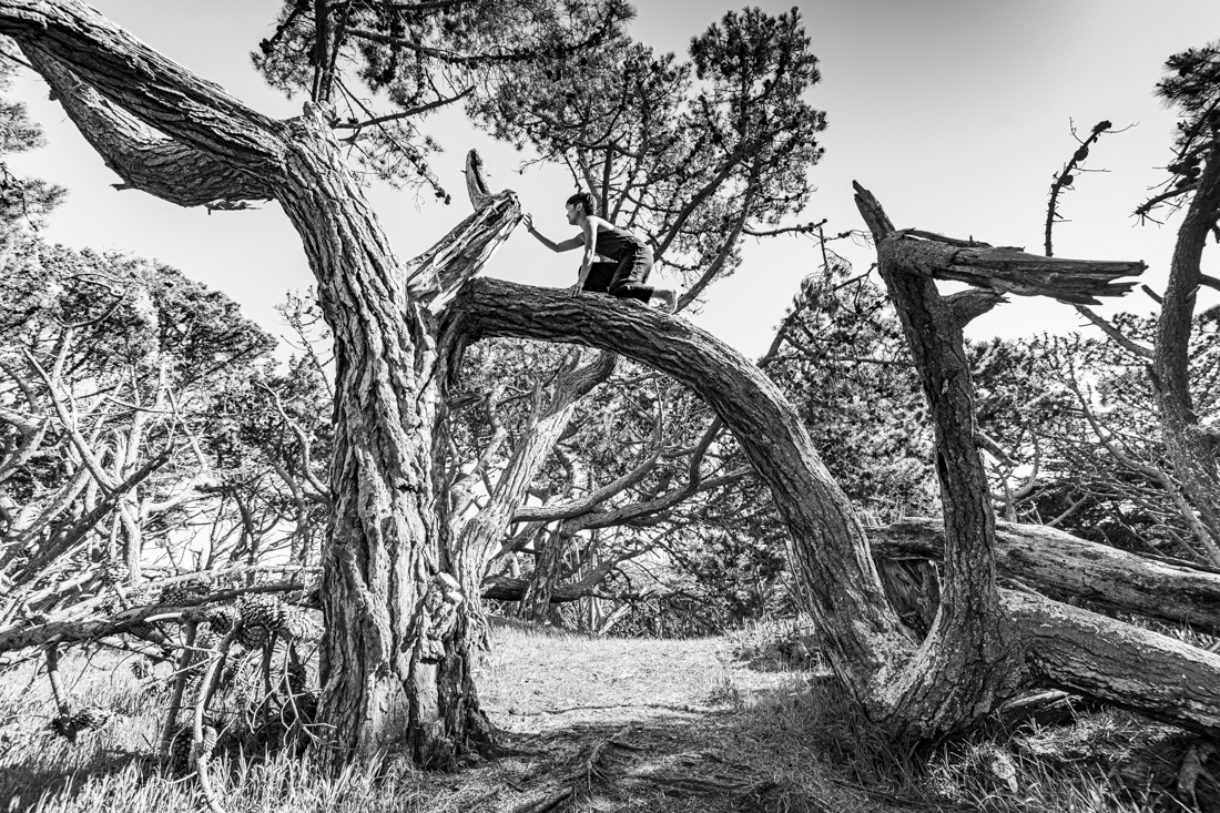 Dance in Black and White