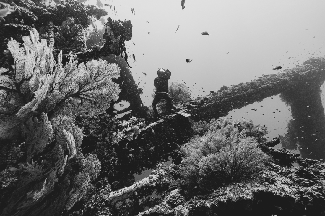 Oceanian