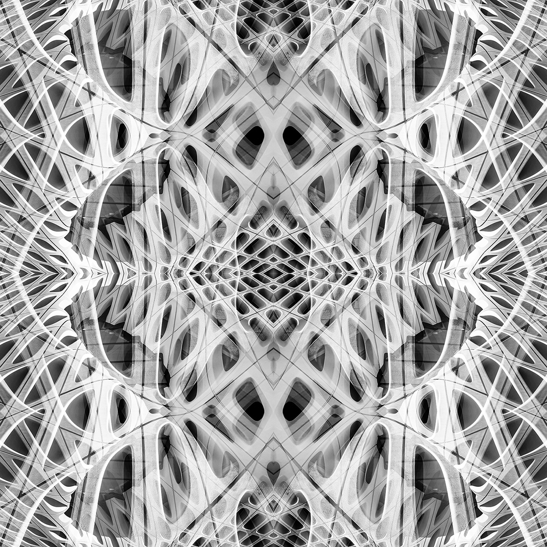 Matrixverse - The Broad