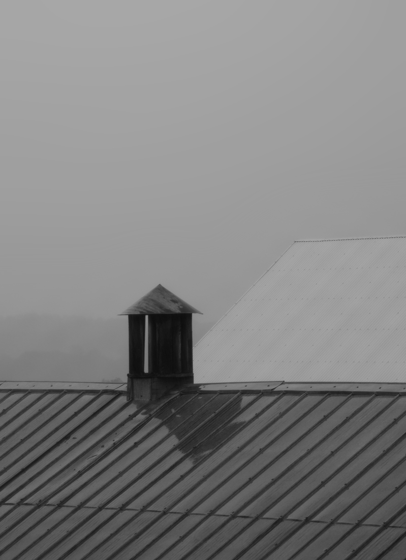 Gray Day