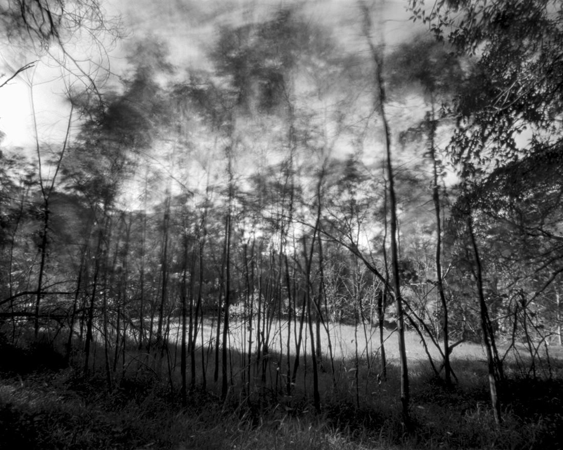 Sackville Reach Aboriginal Reserve, Cumberland Reach, 2022