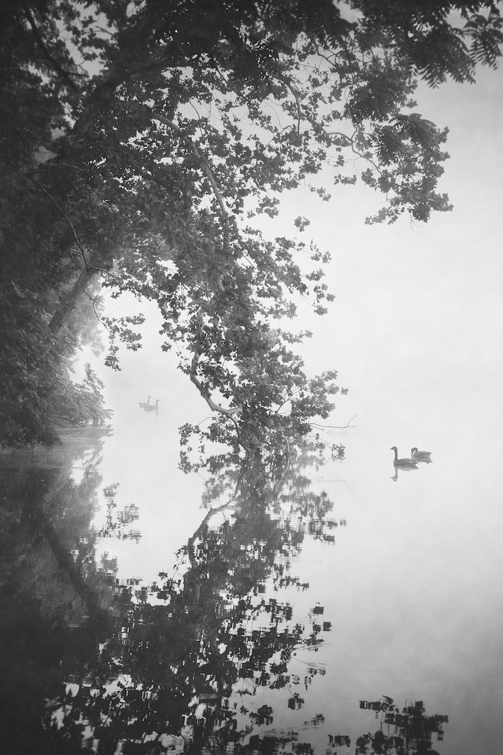 Mist over Lake Atalanta