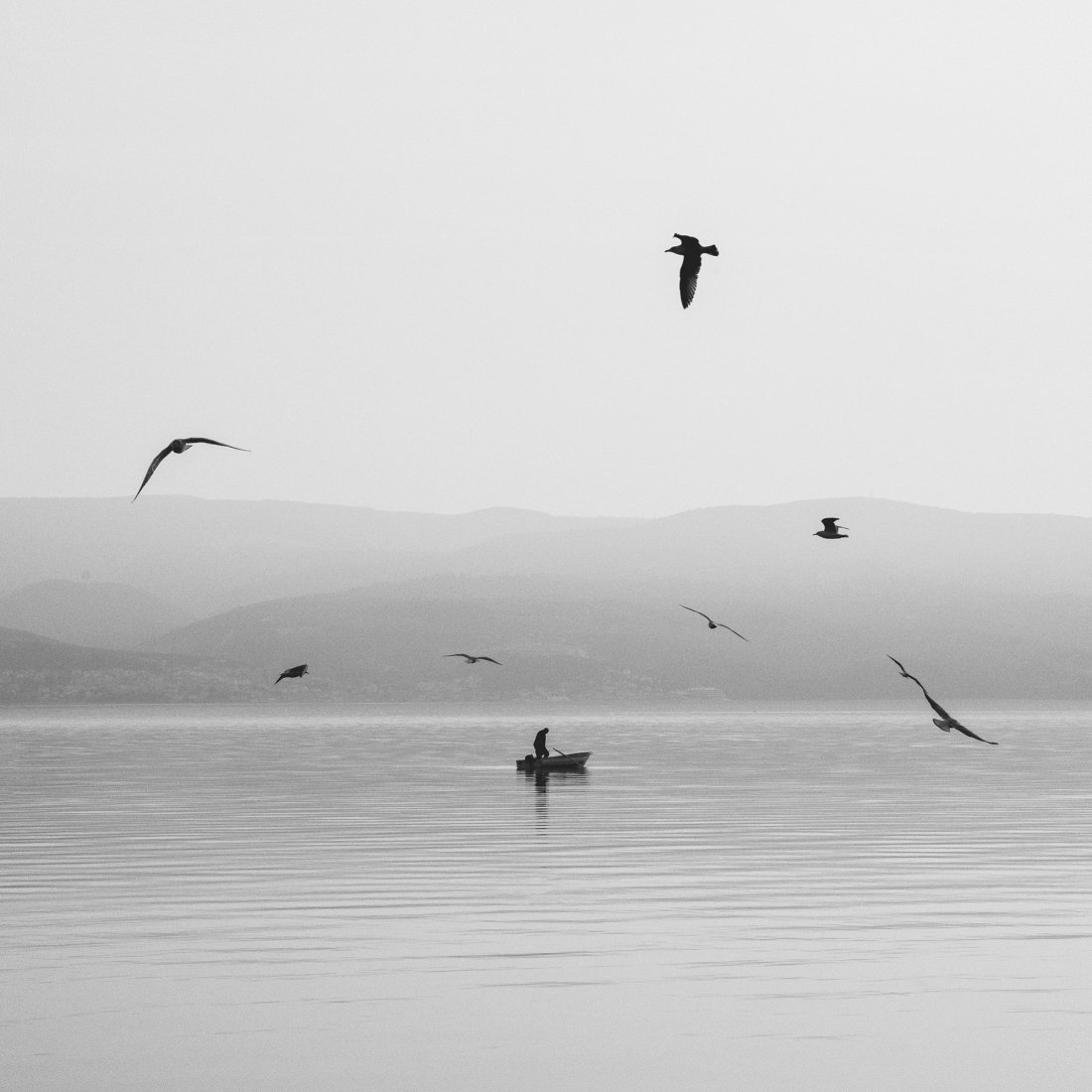 Fisherman