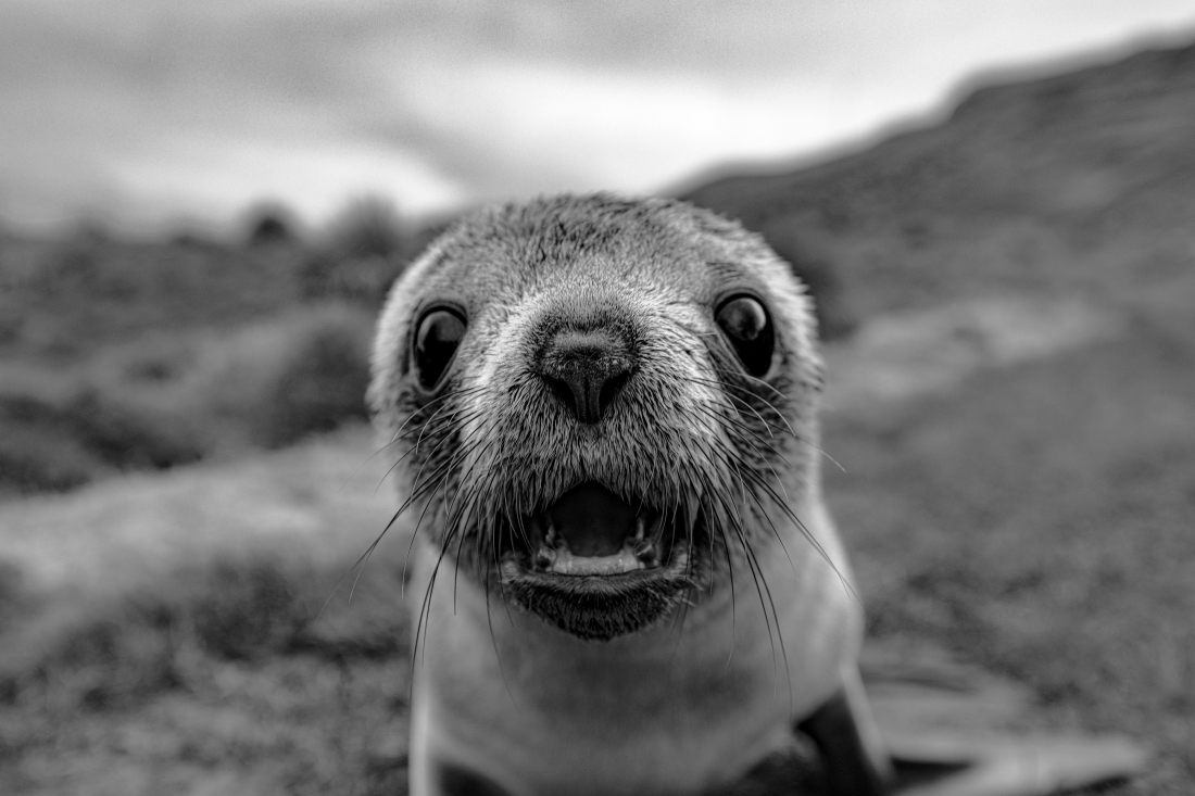 Surprised