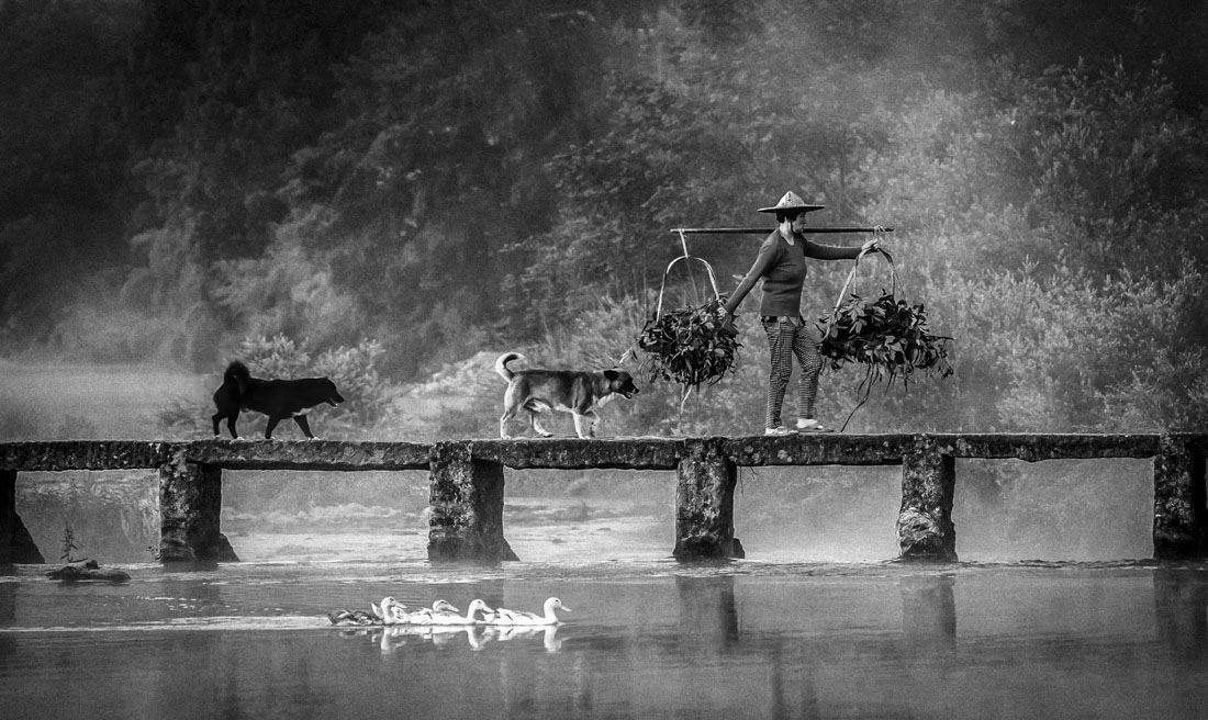 Pastorale 18, ink paint