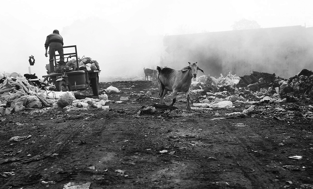 Living life at the landfill