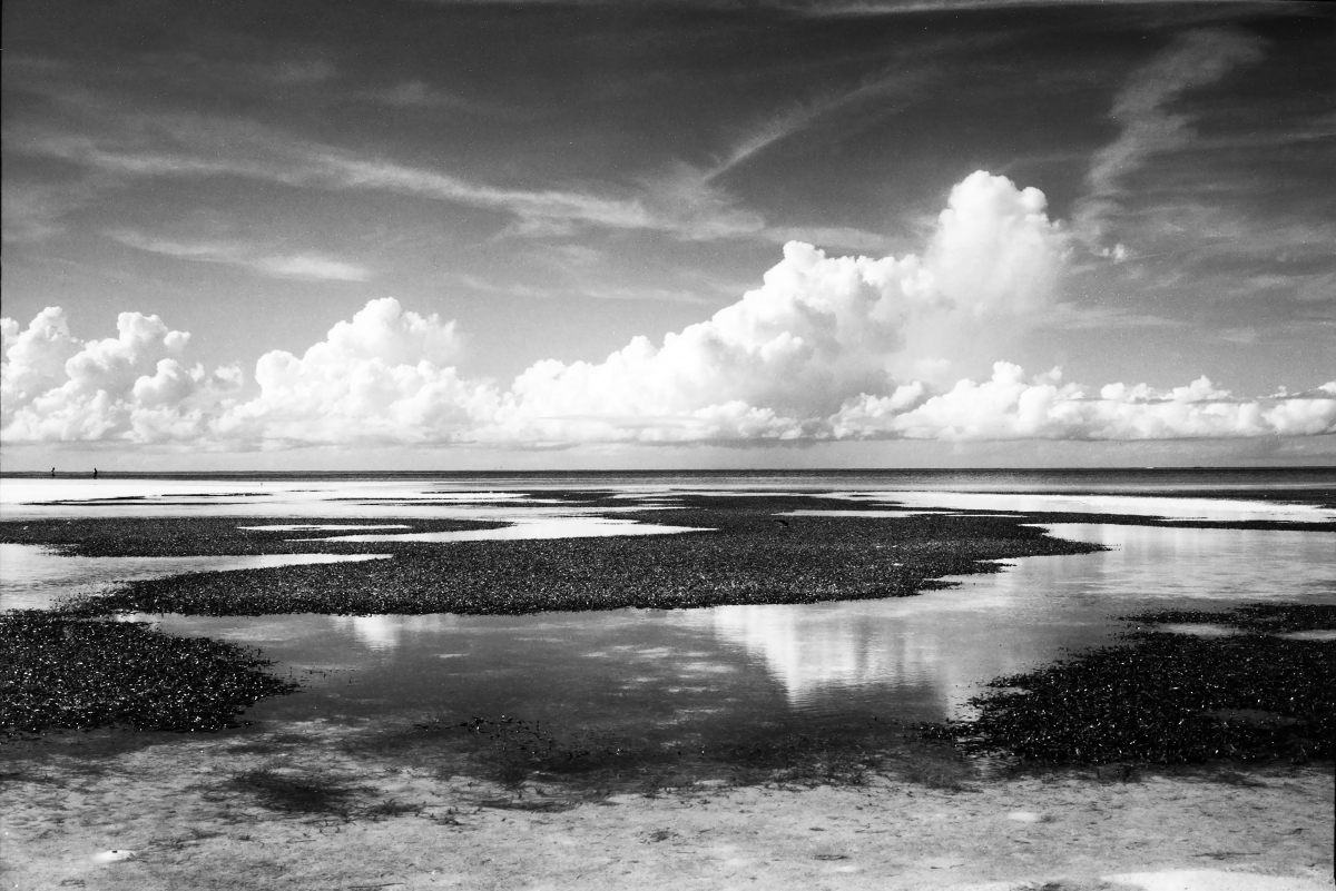 Large Format Silver Gelatin Prints