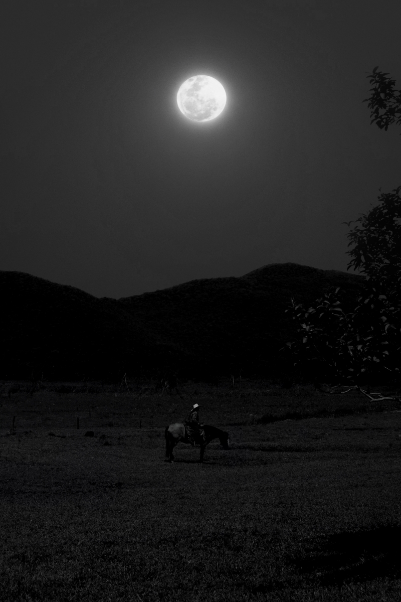 Cowboys Under the Moonlight