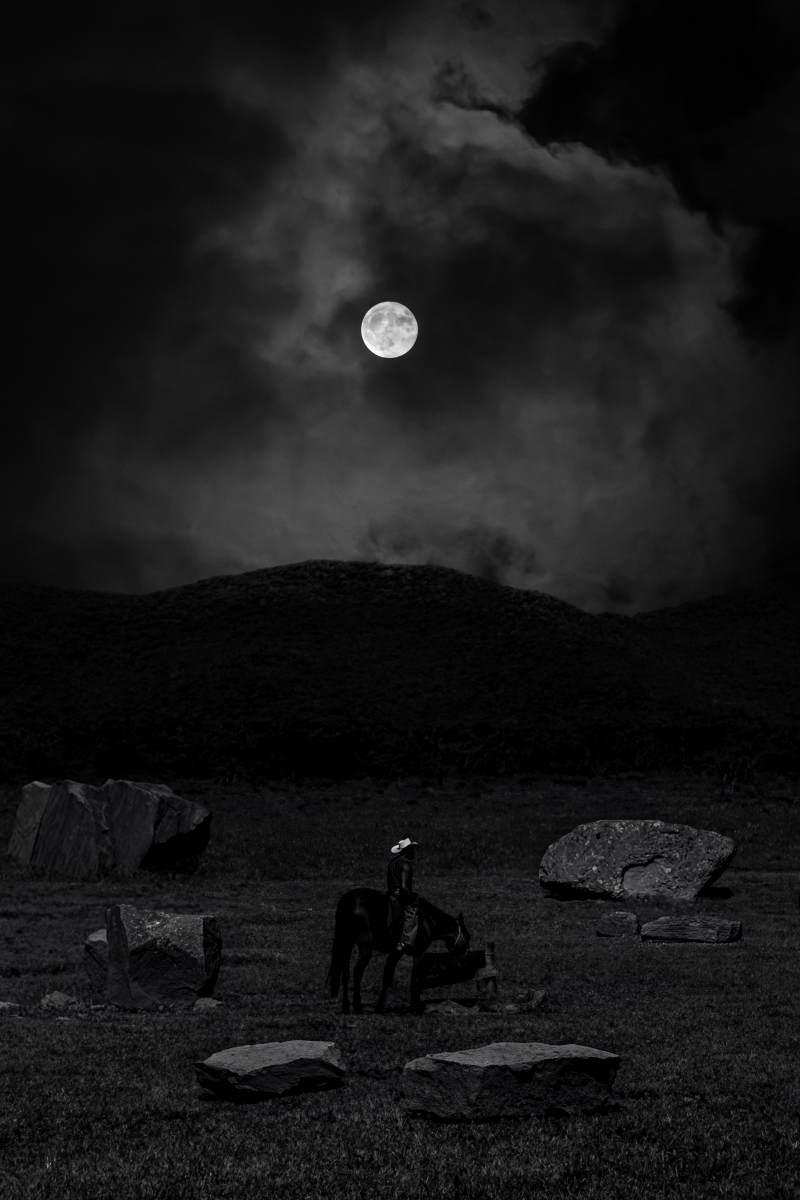 Cowboys Under the Moonlight