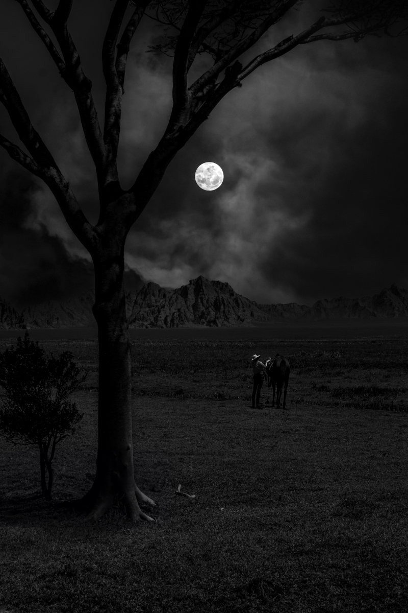 Cowboys Under the Moonlight