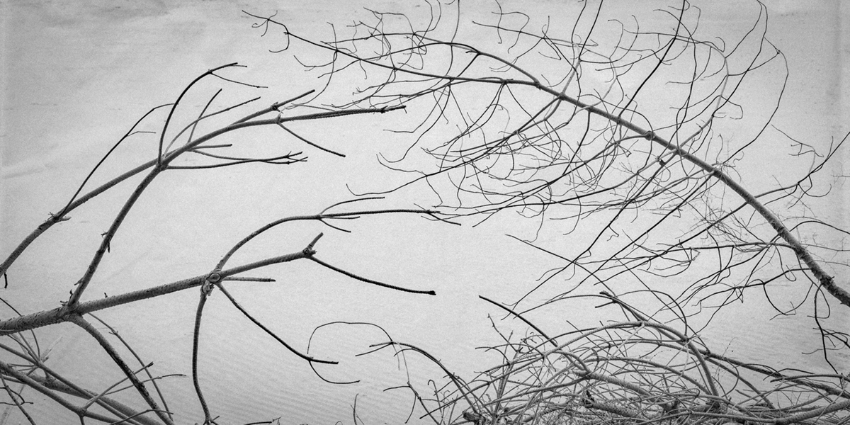 This Last of Meeting Places