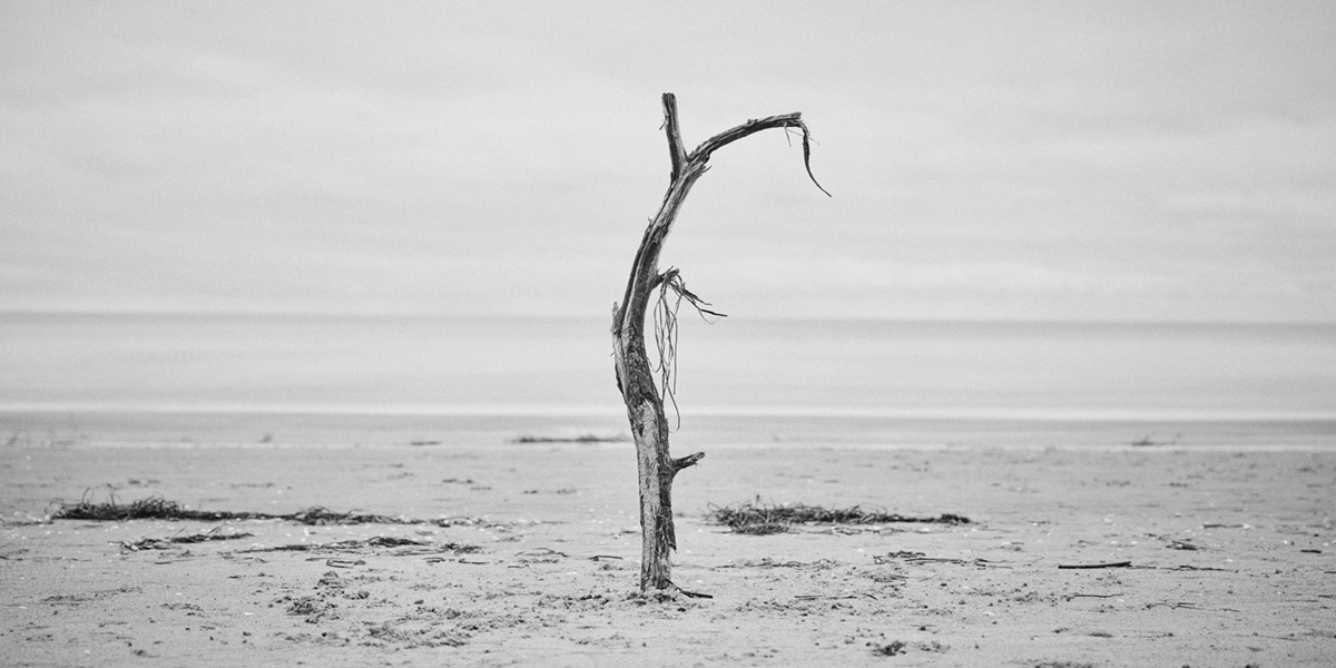 This Last of Meeting Places