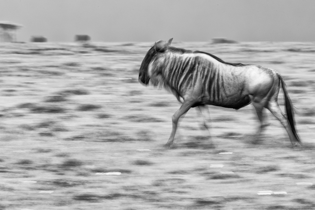 Motion