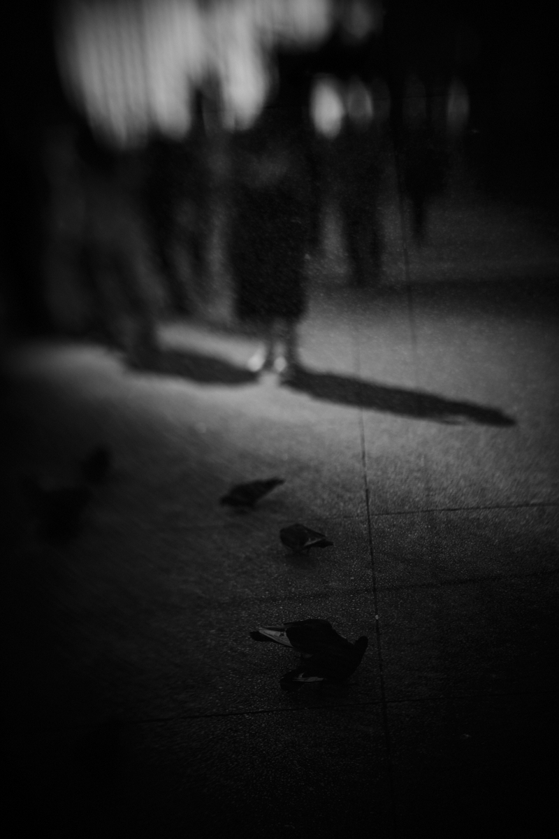 People, Shadows and Ghosts