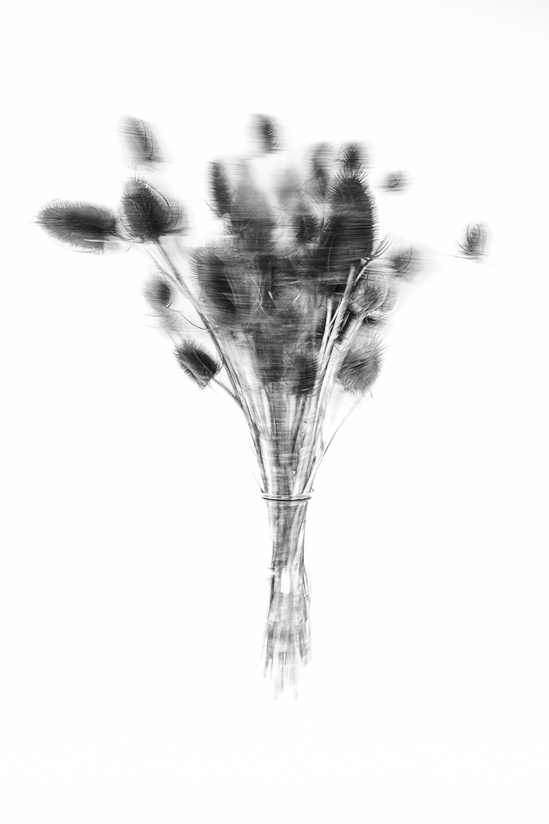 Still life, stool and 30 seconds  