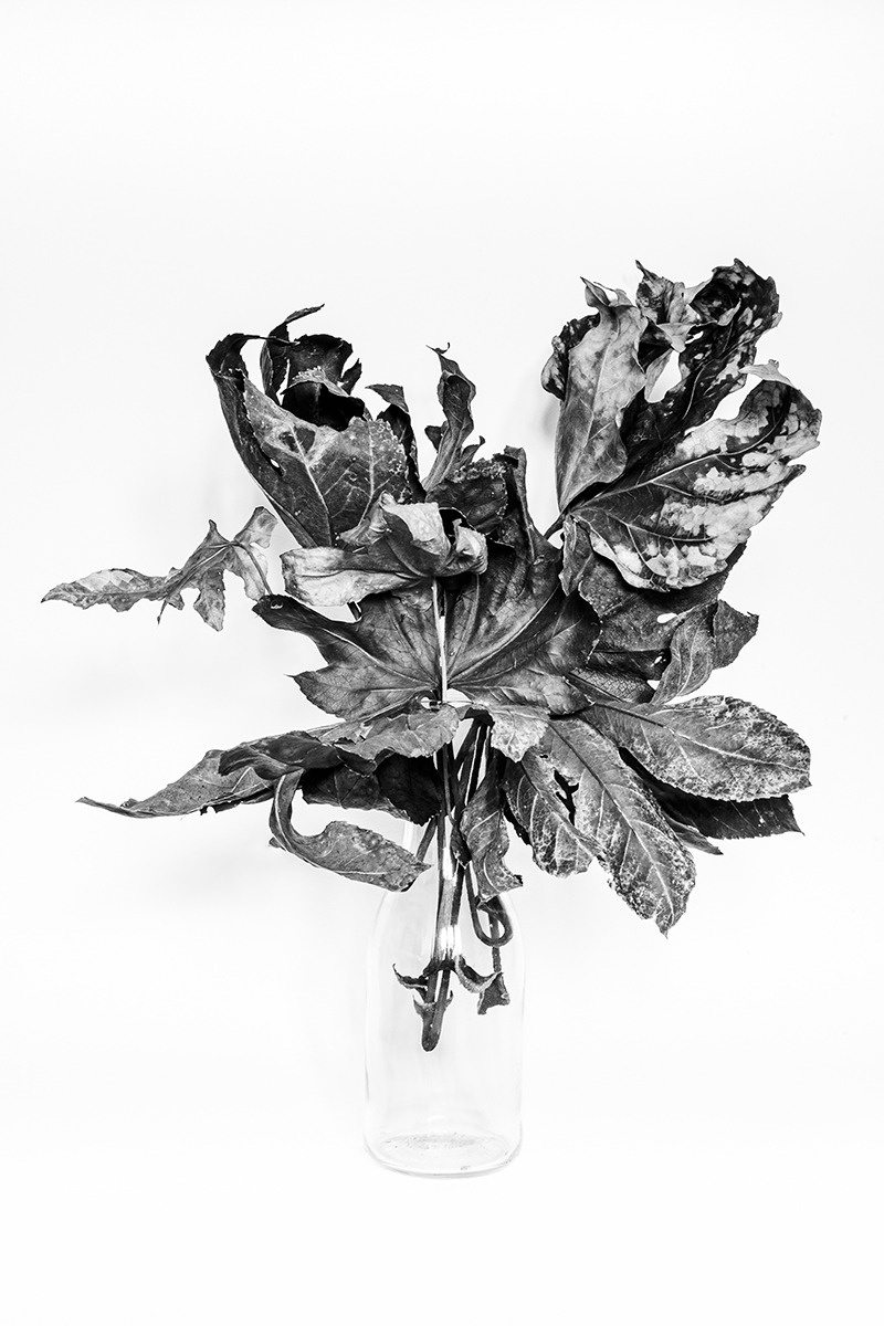 Still life, stool and 30 seconds  