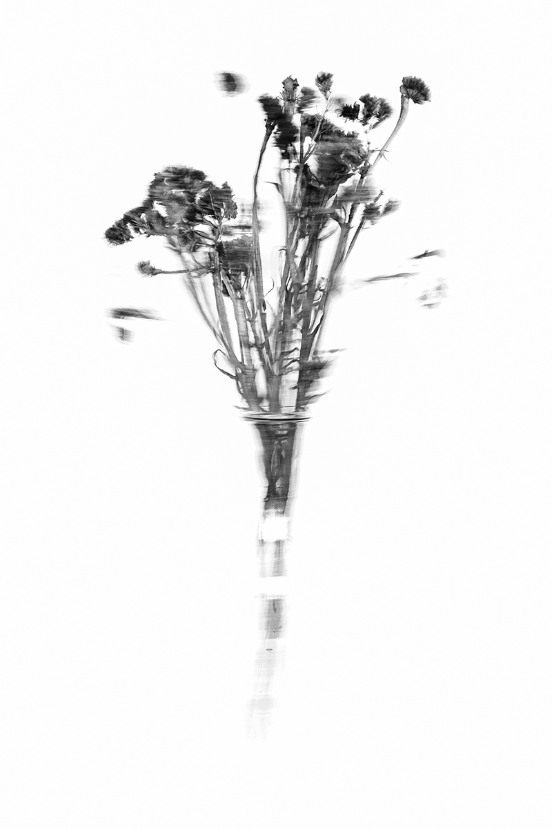 Still life, stool and 30 seconds  