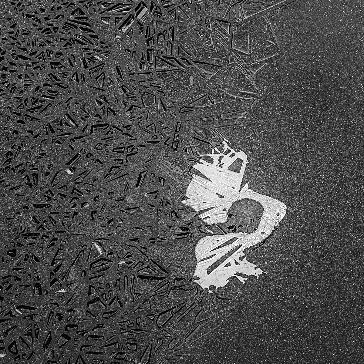 Icelandic black sand landscapes 