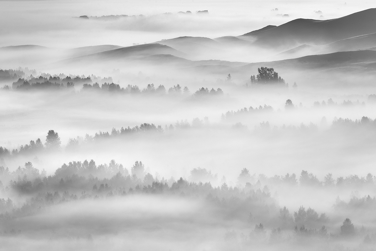 Dance of light and fog